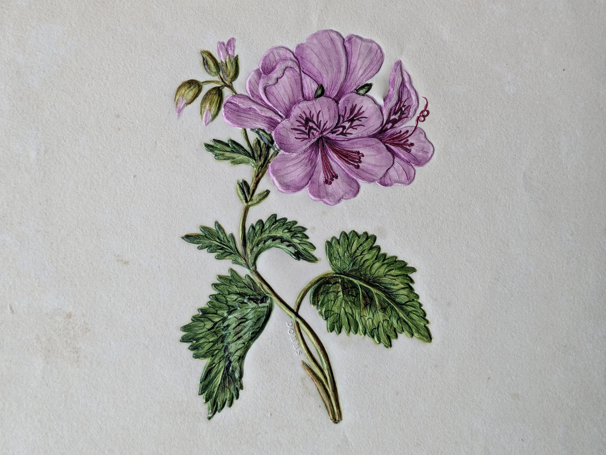 Antique Dobbs embossed botanical painting