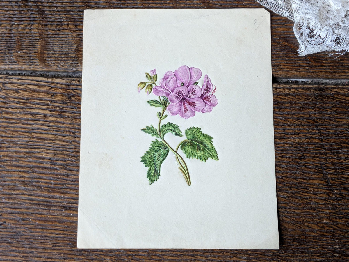 Antique Dobbs embossed botanical painting