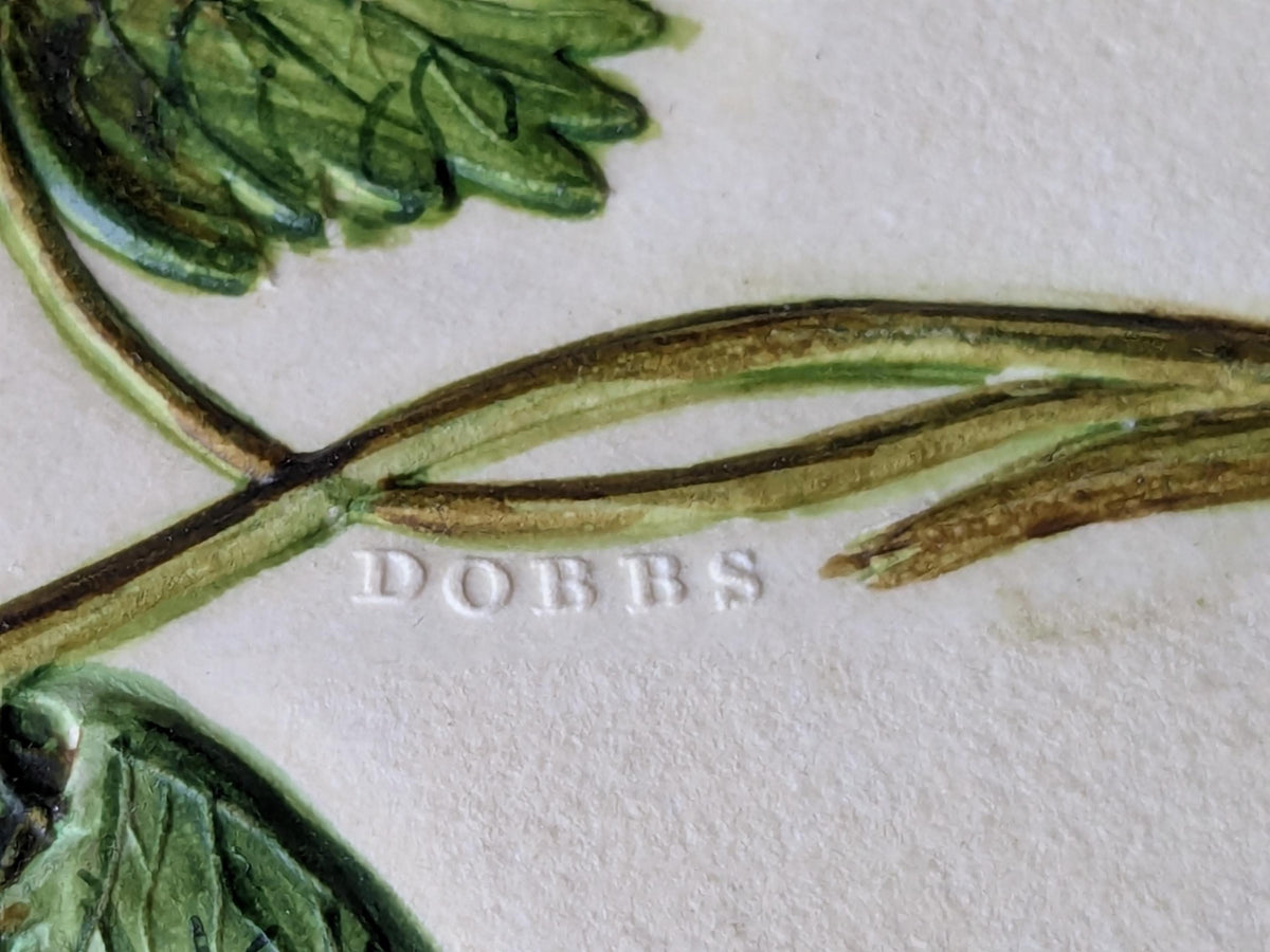 Antique Dobbs embossed botanical painting