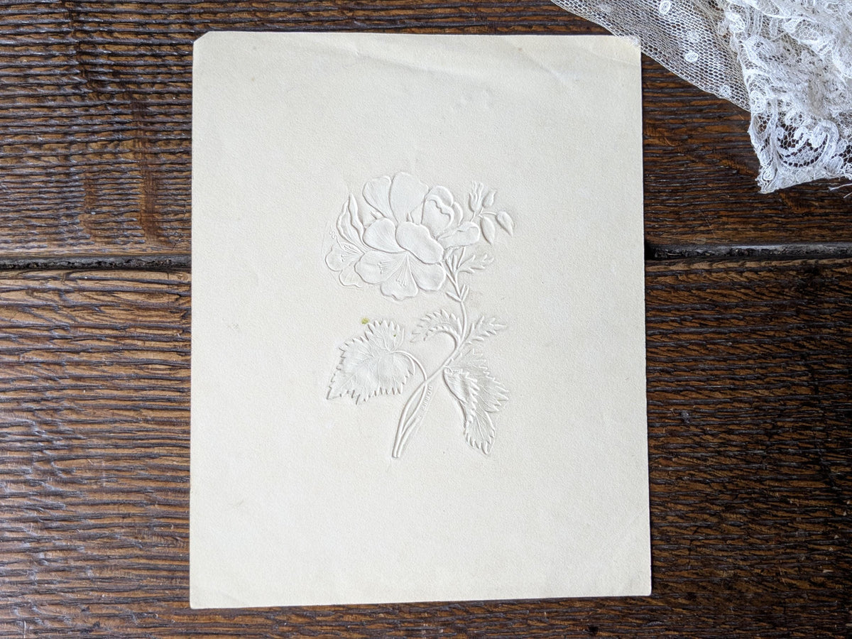 Antique Dobbs embossed botanical painting