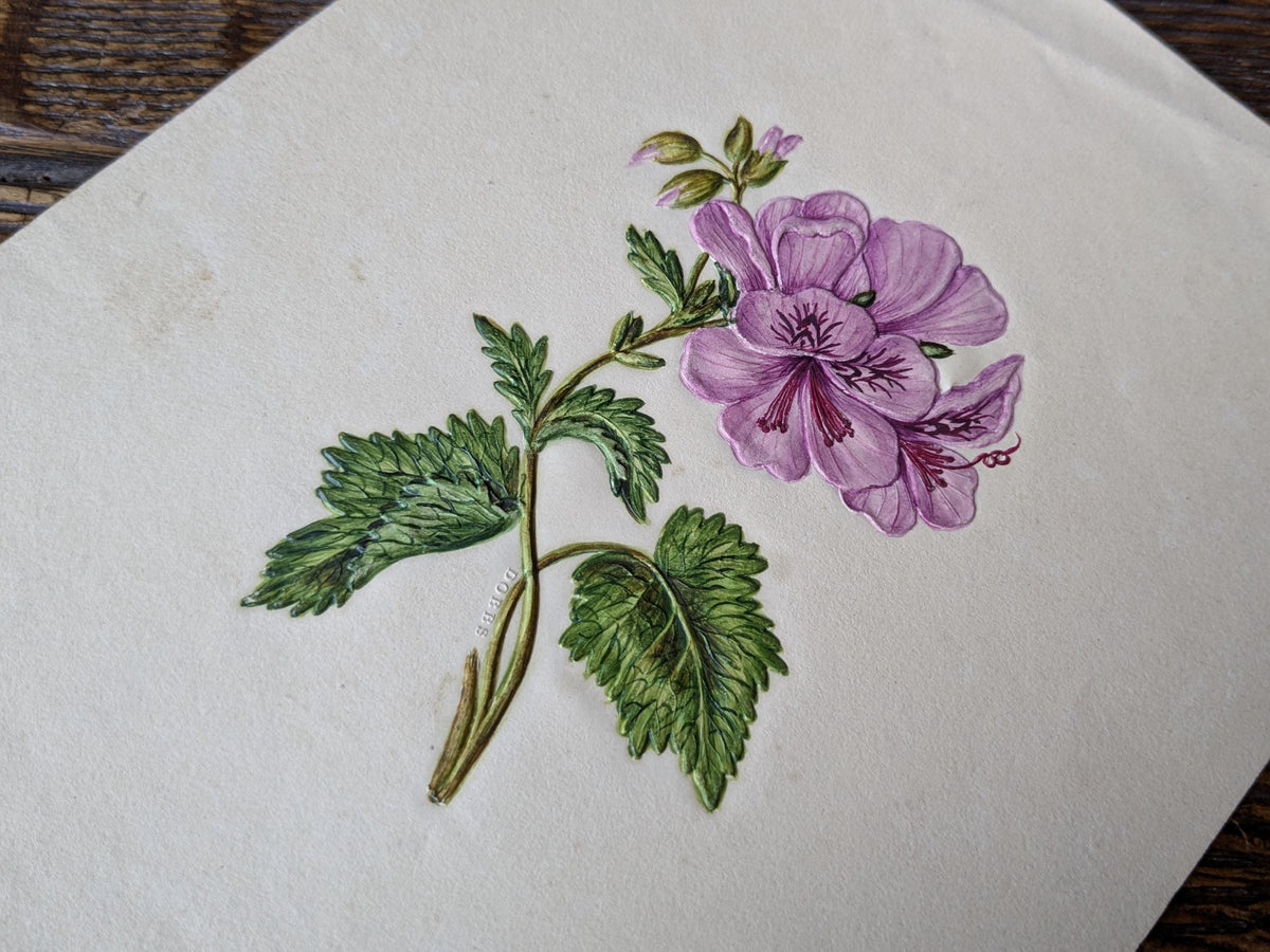 Antique Dobbs embossed botanical painting