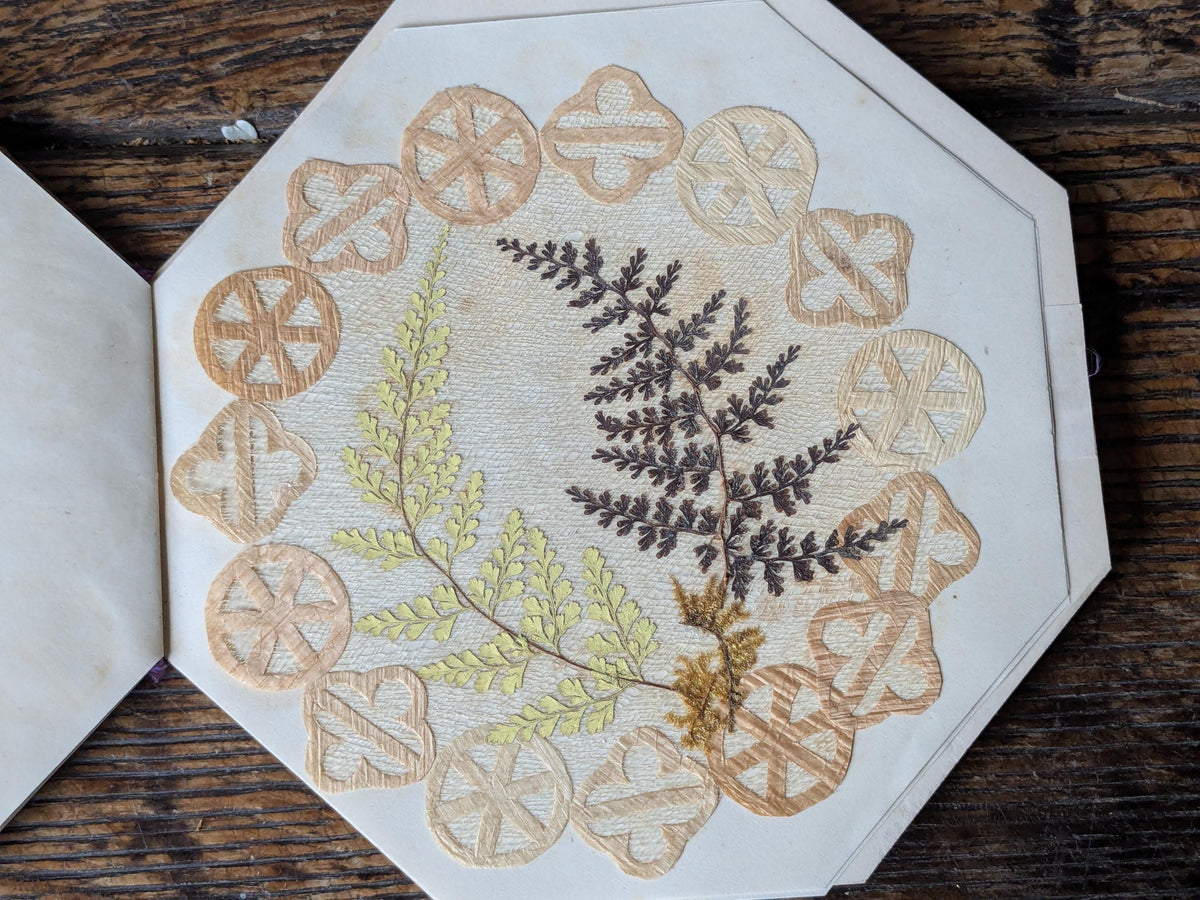 Set of 12 antique Jamaica doilies, botanical ferns