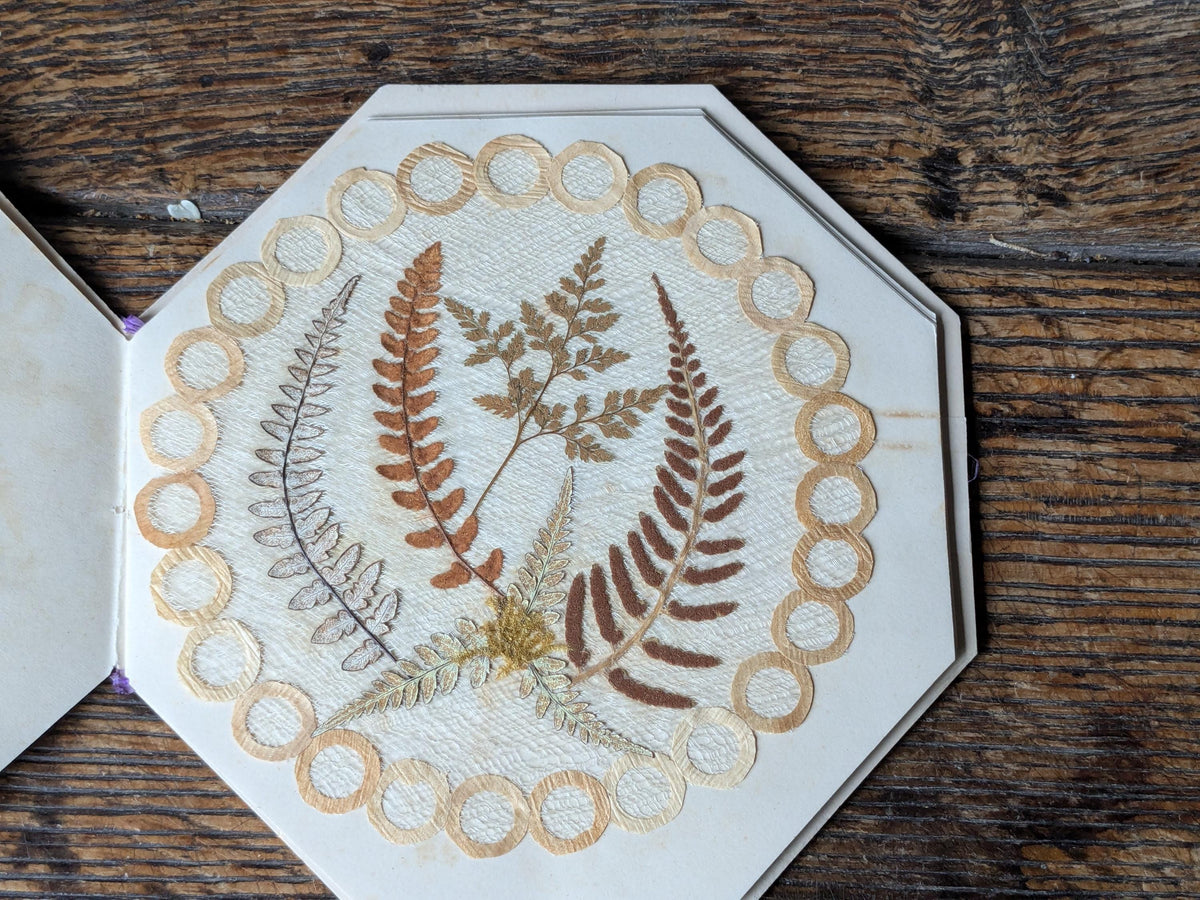 Set of 12 antique Jamaica doilies, botanical ferns