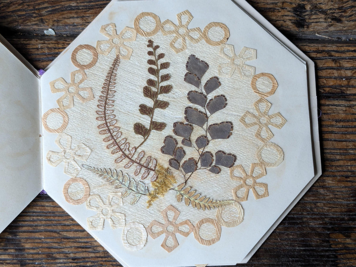 Set of 12 antique Jamaica doilies, botanical ferns