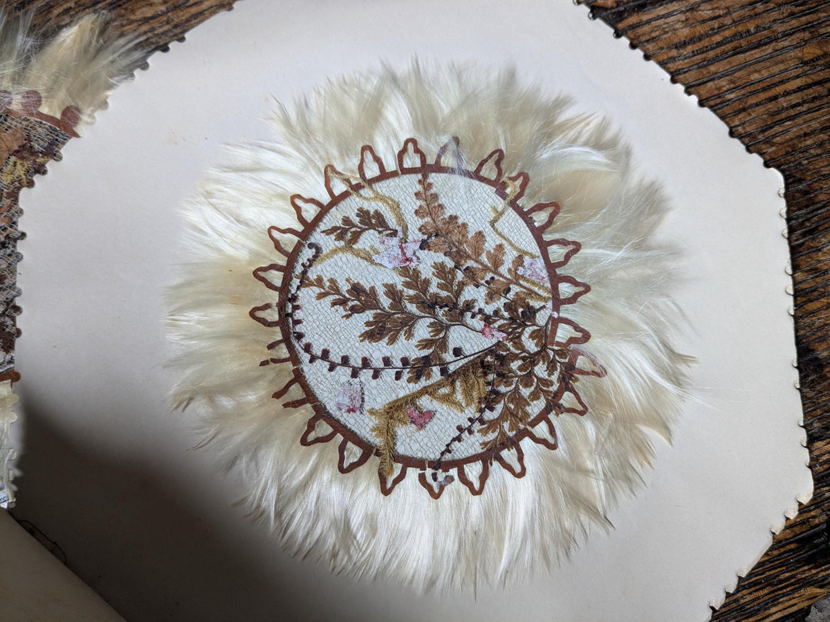 Set of 6 antique Jamaica doilies, botanical ferns