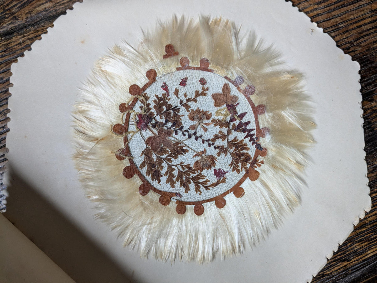 Set of 6 antique Jamaica doilies, botanical ferns